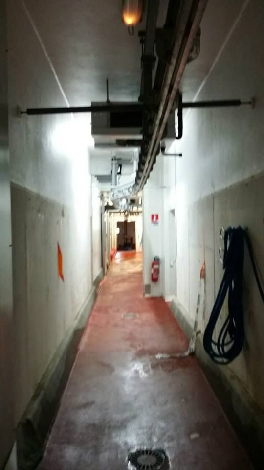 Situation avant : Infiltration invisible sur un toit terrasse